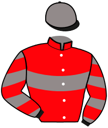 casaque portée par Danneville Gh. jockey du cheval de course JOA DE LA LOUTRIE, information pmu ZETURF