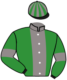 casaque portée par Randon A. jockey du cheval de course GOLDEN LORD MIJACK, information pmu ZETURF casaque portée par Randon A. jockey du cheval de course GOLDEN LORD MIJACK, information pmu ZETURF