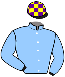 casaque portée par Laudren L. jockey du cheval de course JOYEUX DES VAUX, information pmu ZETURF