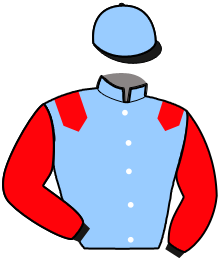 casaque portée par Cuoq J. jockey du cheval de course ILIADE DU GOUTIER, information pmu ZETURF casaque portée par Cuoq J. jockey du cheval de course ILIADE DU GOUTIER, information pmu ZETURF