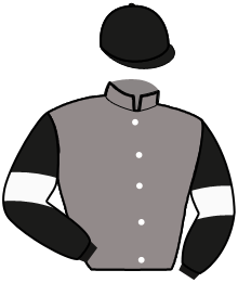 casaque portée par Cuoq J. jockey du cheval de course LADY IMPERIALE, information pmu ZETURF casaque portée par Cuoq J. jockey du cheval de course LADY IMPERIALE, information pmu ZETURF