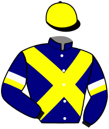 casaque portée par Ruet B. jockey du cheval de course MAN CITY, information pmu ZETURF casaque portée par Ruet B. jockey du cheval de course MAN CITY, information pmu ZETURF