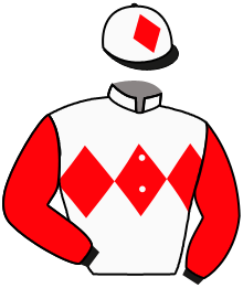 casaque portée par Hardouin E. jockey du cheval de course AL HABISSET, information pmu ZETURF
