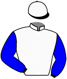 casaque portée par Postic Mr P. jockey du cheval de course ROYALE WELLS, information pmu ZETURF casaque portée par Postic Mr P. jockey du cheval de course ROYALE WELLS, information pmu ZETURF