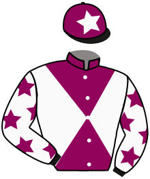 casaque portée par Hardouin E. jockey du cheval de course TURTLE BAY, information pmu ZETURF casaque portée par Hardouin E. jockey du cheval de course TURTLE BAY, information pmu ZETURF