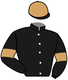 casaque portée par Lemaitre A. jockey du cheval de course GOLDEN BROWN, information pmu ZETURF casaque portée par Lemaitre A. jockey du cheval de course GOLDEN BROWN, information pmu ZETURF