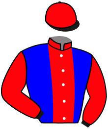 casaque portée par Pouchin A. jockey du cheval de course LAMENTO, information pmu ZETURF casaque portée par Pouchin A. jockey du cheval de course LAMENTO, information pmu ZETURF
