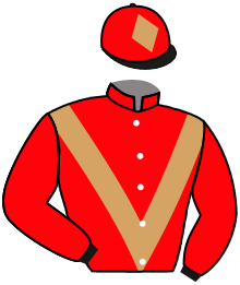 casaque portée par Demuro C. jockey du cheval de course MANOIR, information pmu ZETURF casaque portée par Demuro C. jockey du cheval de course MANOIR, information pmu ZETURF
