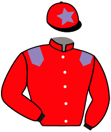 casaque portée par Lebouc Hug. jockey du cheval de course ABISOLA, information pmu ZETURF casaque portée par Lebouc Hug. jockey du cheval de course ABISOLA, information pmu ZETURF