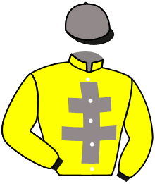 casaque portée par Boisseau L. jockey du cheval de course IVORY TRAOU LAND, information pmu ZETURF casaque portée par Boisseau L. jockey du cheval de course IVORY TRAOU LAND, information pmu ZETURF