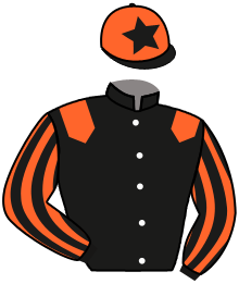 casaque portée par D' Andigne O. jockey du cheval de course SHAHZADI, information pmu ZETURF casaque portée par D' Andigne O. jockey du cheval de course SHAHZADI, information pmu ZETURF