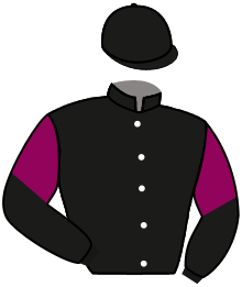 casaque portée par Trolley De Prevaux G. jockey du cheval de course FIFTH ELEMENT, information pmu ZETURF casaque portée par Trolley De Prevaux G. jockey du cheval de course FIFTH ELEMENT, information pmu ZETURF