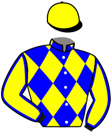 casaque portée par Grosbois Chr. jockey du cheval de course PONY BOY, information pmu ZETURF casaque portée par Grosbois Chr. jockey du cheval de course PONY BOY, information pmu ZETURF