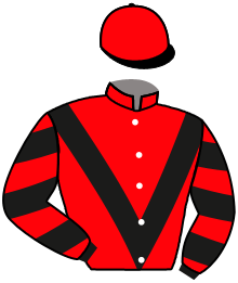 casaque portée par Subias A. jockey du cheval de course PAUMY, information pmu ZETURF casaque portée par Subias A. jockey du cheval de course PAUMY, information pmu ZETURF