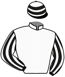 casaque portée par Blanchouin T. jockey du cheval de course WUTZELITO, information pmu ZETURF casaque portée par Blanchouin T. jockey du cheval de course WUTZELITO, information pmu ZETURF