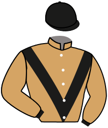 casaque portée par Guillochon J. jockey du cheval de course J'AURAIS DU, information pmu ZETURF casaque portée par Guillochon J. jockey du cheval de course J'AURAIS DU, information pmu ZETURF
