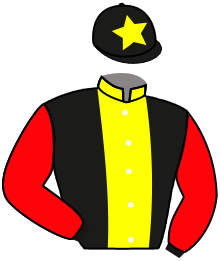 casaque portée par Plommee Léo. jockey du cheval de course CHUNKA WAKAN, information pmu ZETURF casaque portée par Plommee Léo. jockey du cheval de course CHUNKA WAKAN, information pmu ZETURF