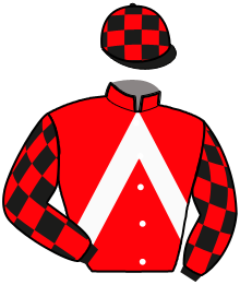 casaque portée par Beauvais E. jockey du cheval de course HOELA LESMELCHEN, information pmu ZETURF casaque portée par Beauvais E. jockey du cheval de course HOELA LESMELCHEN, information pmu ZETURF