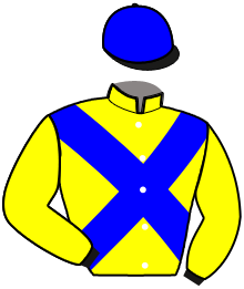 casaque portée par Lambertz E. jockey du cheval de course INDIENNE DE VAL, information pmu ZETURF casaque portée par Lambertz E. jockey du cheval de course INDIENNE DE VAL, information pmu ZETURF