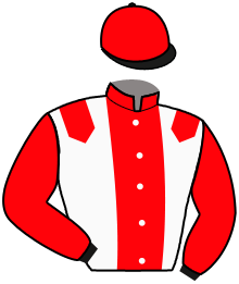 casaque portée par Gelormini G. jockey du cheval de course HUMBERSTON, information pmu ZETURF casaque portée par Gelormini G. jockey du cheval de course HUMBERSTON, information pmu ZETURF