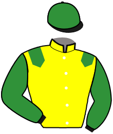 casaque portée par Abrivard M. jockey du cheval de course LOVELY GODIVA, information pmu ZETURF casaque portée par Abrivard M. jockey du cheval de course LOVELY GODIVA, information pmu ZETURF