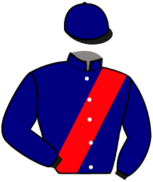 casaque portée par Lecot H. jockey du cheval de course KINBALL, information pmu ZETURF casaque portée par Lecot H. jockey du cheval de course KINBALL, information pmu ZETURF