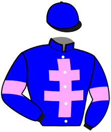 casaque portée par Debris B. jockey du cheval de course HOMME D'ETAT, information pmu ZETURF casaque portée par Debris B. jockey du cheval de course HOMME D'ETAT, information pmu ZETURF