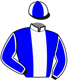 casaque portée par Mlle Martineau M. jockey du cheval de course HASTON ATOUT, information pmu ZETURF casaque portée par Mlle Martineau M. jockey du cheval de course HASTON ATOUT, information pmu ZETURF