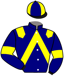 casaque portée par Chauve-laffay Q. jockey du cheval de course MY WAY FERM, information pmu ZETURF casaque portée par Chauve-laffay Q. jockey du cheval de course MY WAY FERM, information pmu ZETURF
