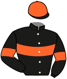 casaque portée par Tintillier A. jockey du cheval de course MUSE LIGERIENNE, information pmu ZETURF casaque portée par Tintillier A. jockey du cheval de course MUSE LIGERIENNE, information pmu ZETURF