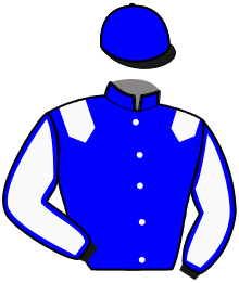 casaque portée par Cormy N. jockey du cheval de course HANNIBAL DE NUIT, information pmu ZETURF casaque portée par Cormy N. jockey du cheval de course HANNIBAL DE NUIT, information pmu ZETURF