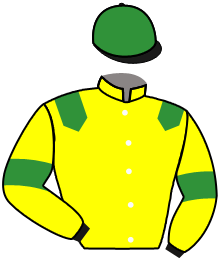 casaque portée par Chesneau A. jockey du cheval de course KESACO BERE, information pmu ZETURF casaque portée par Chesneau A. jockey du cheval de course KESACO BERE, information pmu ZETURF