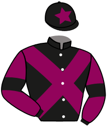 casaque portée par Werle A. jockey du cheval de course ANOUSTE AL CASSAGNE, information pmu ZETURF casaque portée par Werle A. jockey du cheval de course ANOUSTE AL CASSAGNE, information pmu ZETURF