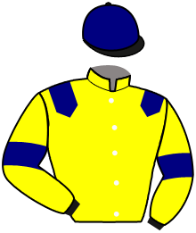 casaque portée par Le Callonec Mae. jockey du cheval de course AWA TOURETTES, information pmu ZETURF casaque portée par Le Callonec Mae. jockey du cheval de course AWA TOURETTES, information pmu ZETURF