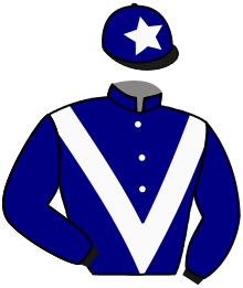 casaque portée par Bachelot T. jockey du cheval de course PISTOIA, information pmu ZETURF casaque portée par Bachelot T. jockey du cheval de course PISTOIA, information pmu ZETURF