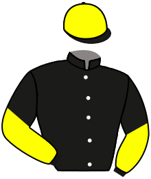 casaque portée par Velon Mlle M. jockey du cheval de course PLAIN BEAU, information pmu ZETURF casaque portée par Velon Mlle M. jockey du cheval de course PLAIN BEAU, information pmu ZETURF