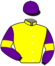casaque portée par Rambur Jea. F. jockey du cheval de course KOKOTE D'OSCARA, information pmu ZETURF