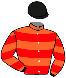 casaque portée par Huteau L. jockey du cheval de course LE LISON, information pmu ZETURF
