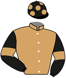 casaque portée par Prichard Mlle C. jockey du cheval de course AUTHENTIQUE COTTE, information pmu ZETURF
