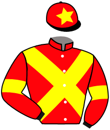 casaque portée par Champier G. jockey du cheval de course UNIVERSAL WIND, information pmu ZETURF