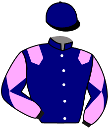 casaque portée par Breux D. jockey du cheval de course AMUSED, information pmu ZETURF