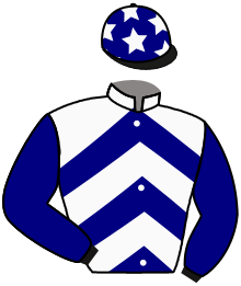 casaque portée par Velon Mlle M. jockey du cheval de course BAGAZ, information pmu ZETURF