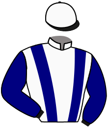 casaque portée par Besnier H. jockey du cheval de course BLACK BOSS, information pmu ZETURF