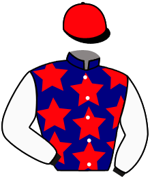 casaque portée par Breux D. jockey du cheval de course BUSINESS PLAN, information pmu ZETURF
