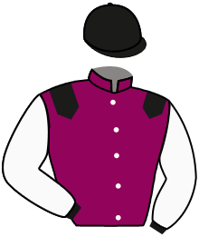 casaque portée par Ruis S. jockey du cheval de course DRAGON LOVE, information pmu ZETURF