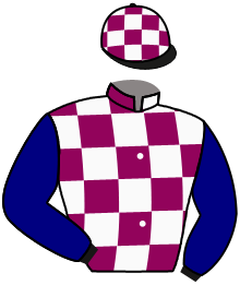 casaque portée par Velon Mlle M. jockey du cheval de course MISS GREELEY, information pmu ZETURF