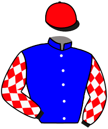 casaque portée par Orani Ant. jockey du cheval de course JARDIN BLEU, information pmu ZETURF