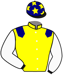 casaque portée par Sias Gio. jockey du cheval de course FETE JOYEUSE, information pmu ZETURF