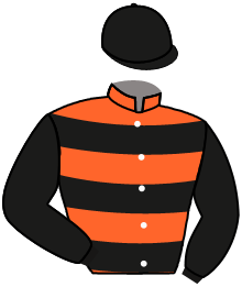 casaque portée par Besnier H. jockey du cheval de course MOUTRAKI, information pmu ZETURF