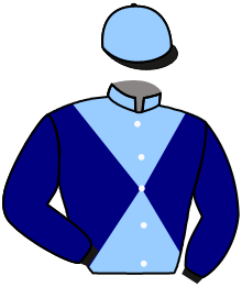 casaque portée par Journiac H. jockey du cheval de course LA DOLOISE, information pmu ZETURF